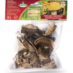 Dried Mushrooms Leccinum Aurantiacum